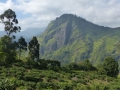2015-01-15 09.47.51 SriLanka-montagnes