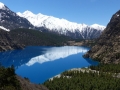 2015-05-04 11.52.10 Dolpa.jpg