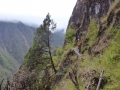 2014-10-18 12.36.44 LumbaSumba