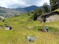 2014-10-20 11.24.09 LumbaSumba