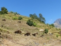 20141107_083248_Salpa-la