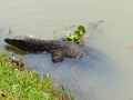 2014-12-14 12.32.32 -SriLanka-sud