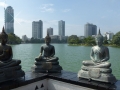2014-12-15 13.50.22 -SriLanka-sud
