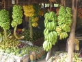 2014-12-18 10.15.36 -SriLanka-sud