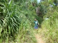 2014-12-18 11.14.59 -SriLanka-sud