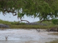 2014-12-27 08.35.02 -SriLanka-sud