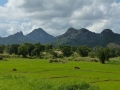 2015-01-06 10.32.37 Sri Lanka - nord