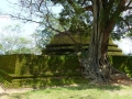 2015-01-08 11.44.44 Sri Lanka - nord
