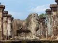2015-01-08 14.21.46 Sri Lanka - nord