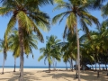2015-01-09 14.38.31 SriLanka - est