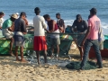 2015-01-13 07.29.04 SriLanka - est