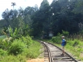 2015-01-15 13.02.32 SriLanka-montagnes