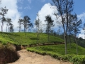 2015-01-16 11.41.12 SriLanka-montagnes
