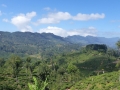 2015-01-17 10.16.38 SriLanka-montagnes