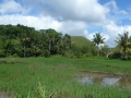 2015-01-27 13.44.49 Visayas