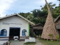 2015-01-31 17.12.55 Visayas