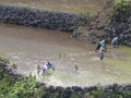2015-02-24 15.50.17 Luzon nord.jpg